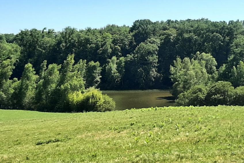 Chalet B10 Yemanisi in der Dordogne - foto 71