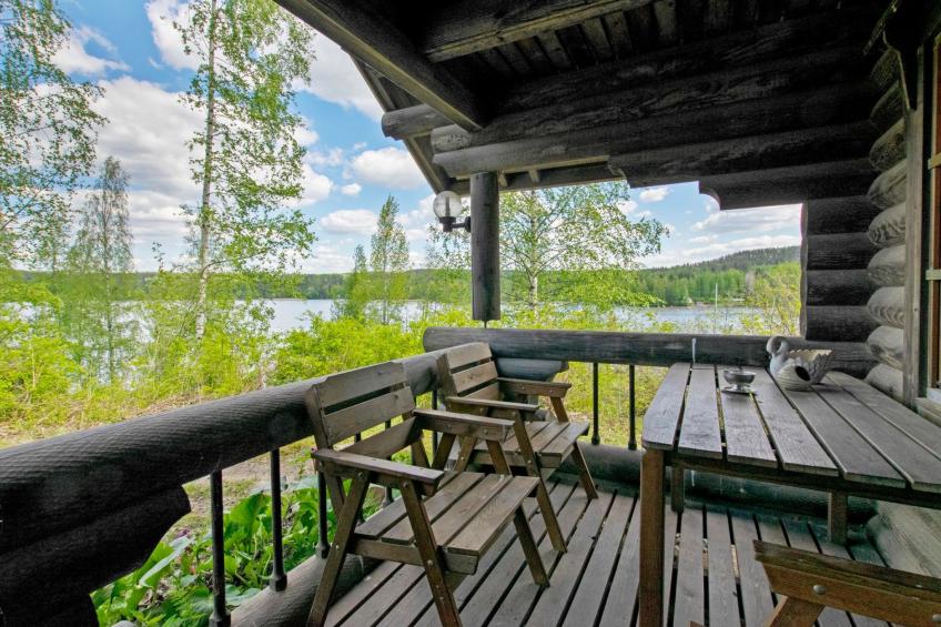 Heinäsorsa - foto 4