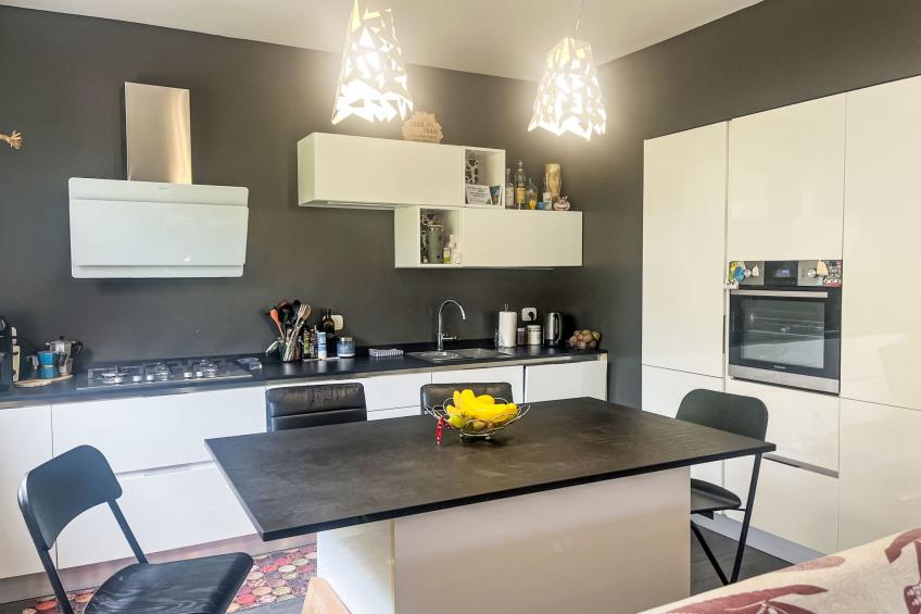 Le radici dell´ulivo - foto 12