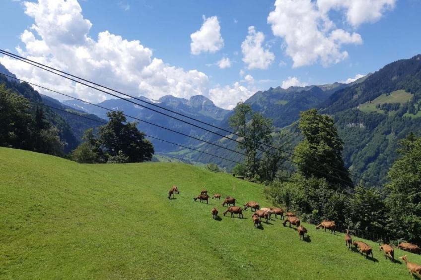 Oase im Engelbergertal zwischen Luzern & Engelberg - foto 3