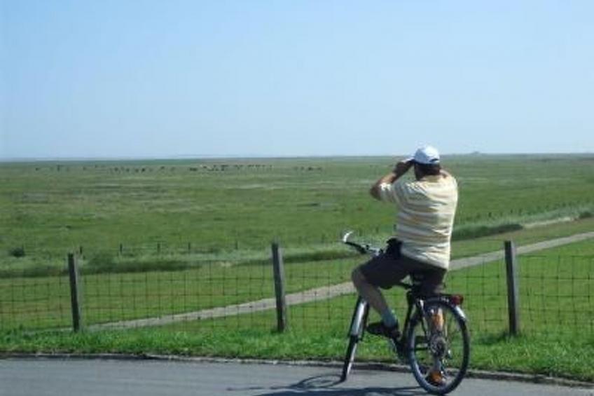 Haus Hanni - foto 34