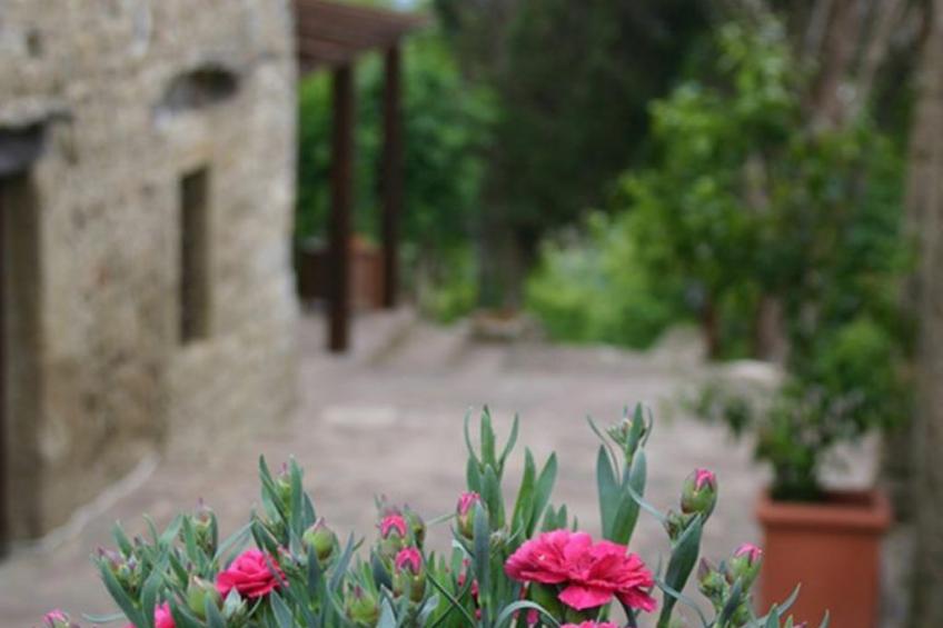 Anwesen mit eigenem Pool - foto 11