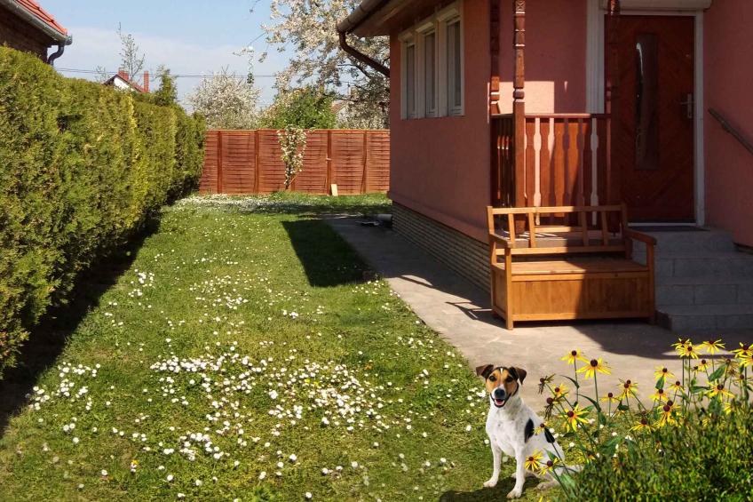 Holiday house for big families - BF-BXXPN - foto 3