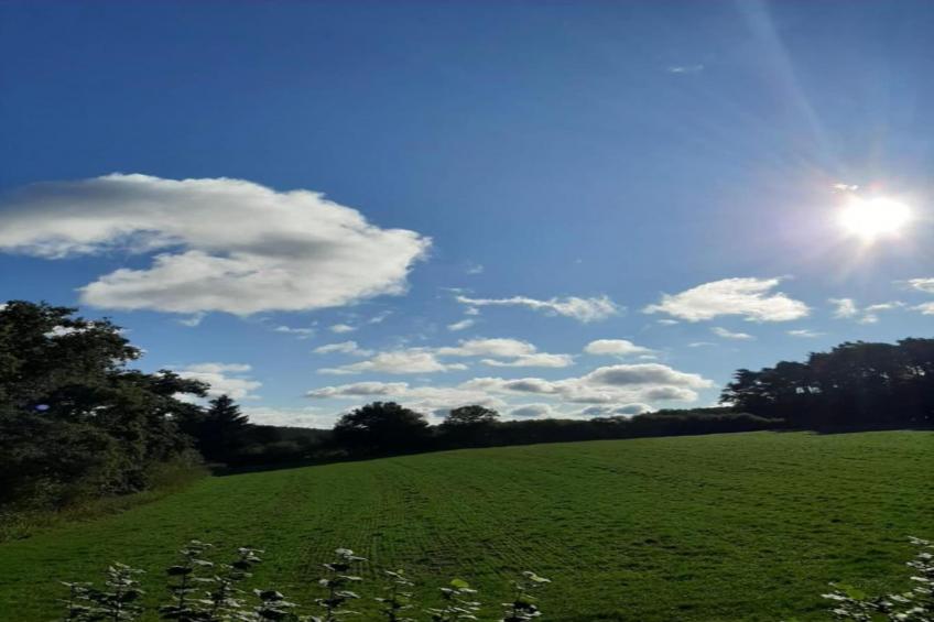 Bayerischer Wald - foto 37