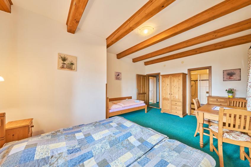 Haus Kaprasova (ULJ100) - foto 22