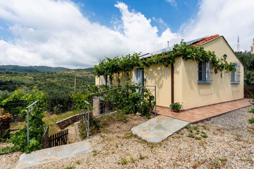 Olive Lodge - foto 7