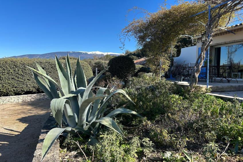 Villes-sur-Auzon - foto 34