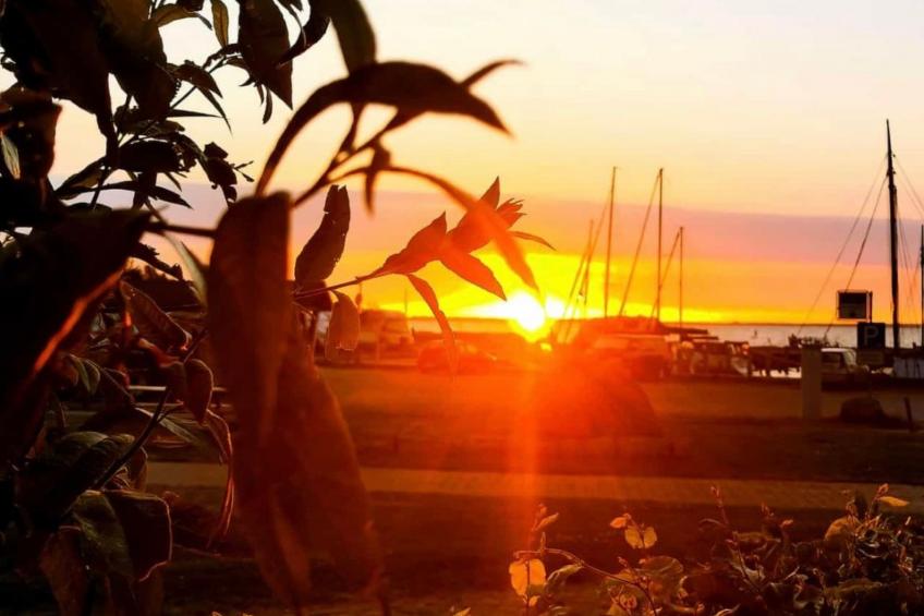 Haus Saaler Bodden - foto 17