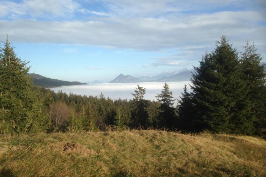 Gina's Apartment - Nähe zu See und Berge - foto 15