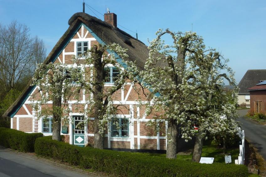 636137 - foto 25