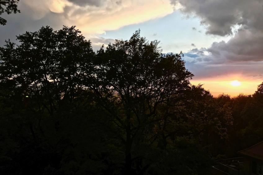 5-Sterne (Deutscher Tourismusverband) - Erholung wie ein König - - foto 31