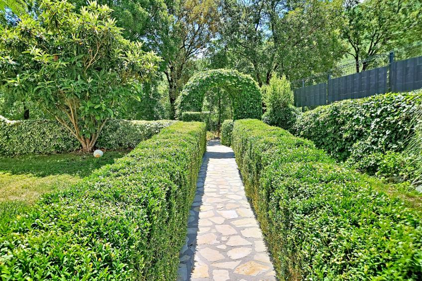Ana - foto 32