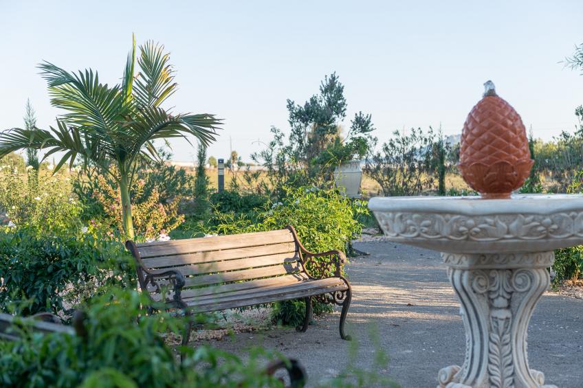 Banc Doli - foto 44