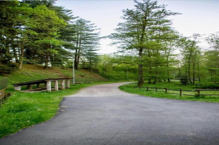 Lavinia's Apartment - foto 25