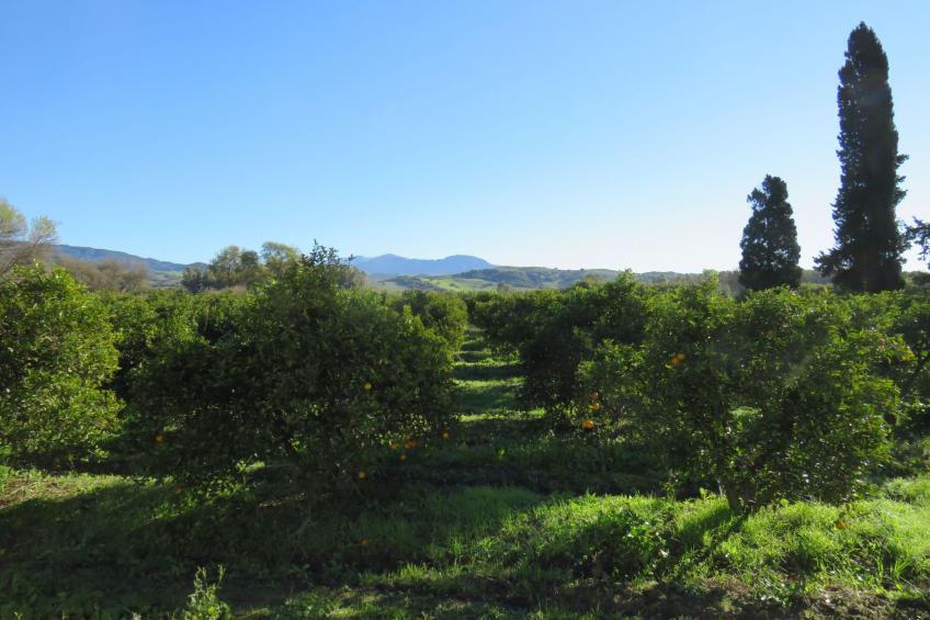 Appartement in San Pablo De Buceite mit Kleinem Garten - foto 23