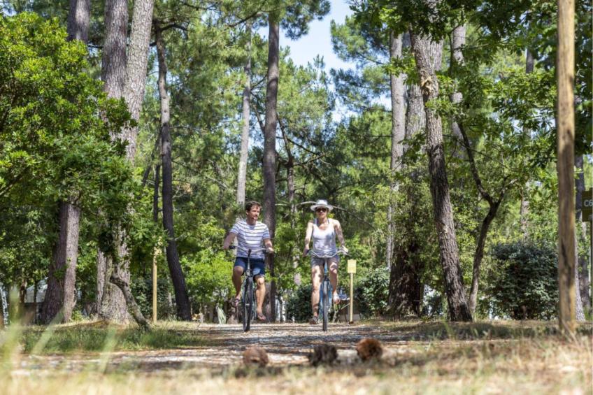 Cottage Friends Ocean View 10p 5Bdrms Ai - foto 23