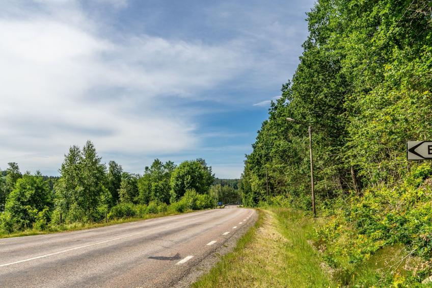 Schwedisches Glück, zwischen Wäldern und einem See - foto 44