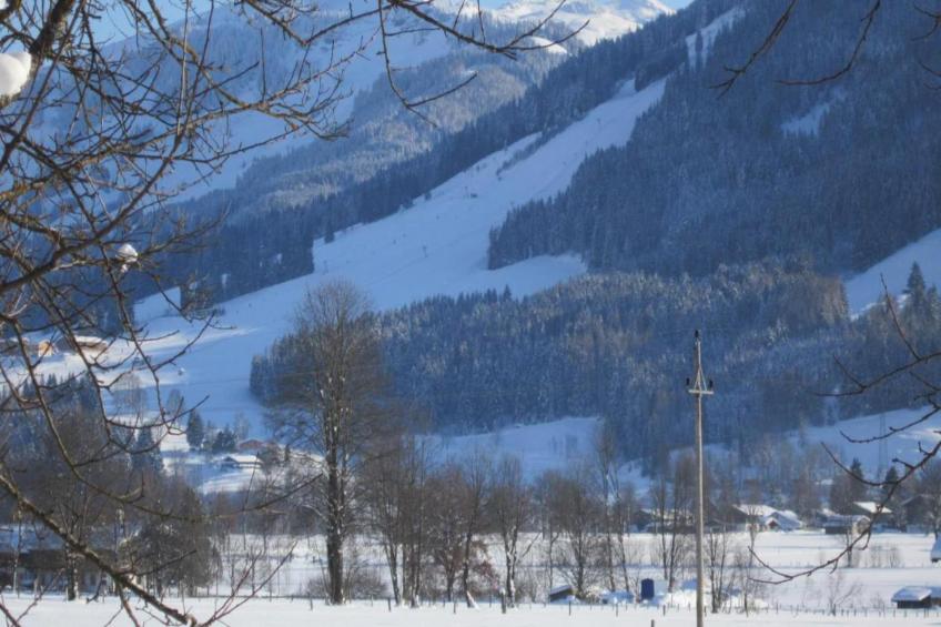 Doppelzimmer "Ziegen-Bartl" in Saalfelden - foto 22