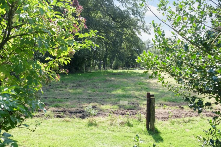 Park Kalheupink - foto 24