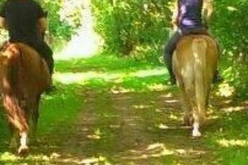 Över de Loh - foto 14