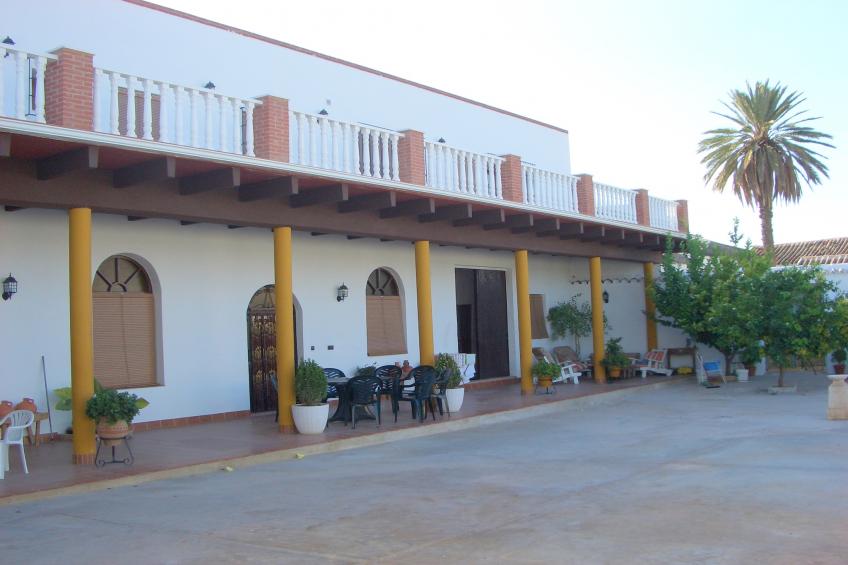 El Patriarcal - foto 3