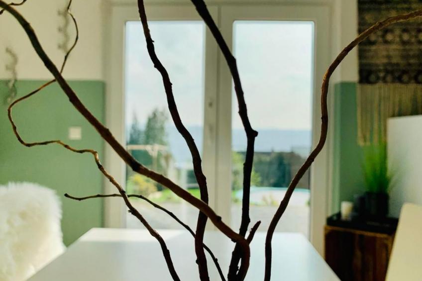 FeWo Oberwinter Bonn - foto 13