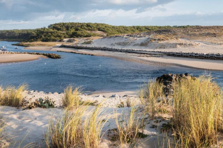 La Maison Pinède - foto 33