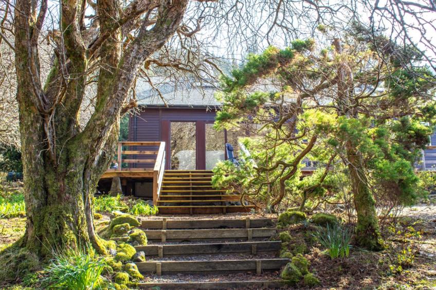 Blue Lobster - foto 5