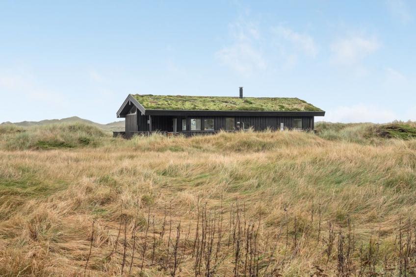"Eri" - 300m from the sea in NW Jutland - foto 17