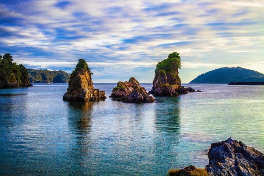 Quinta do Couto - foto 36