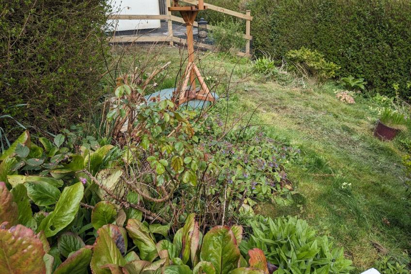 Velvet Cottage - foto 21