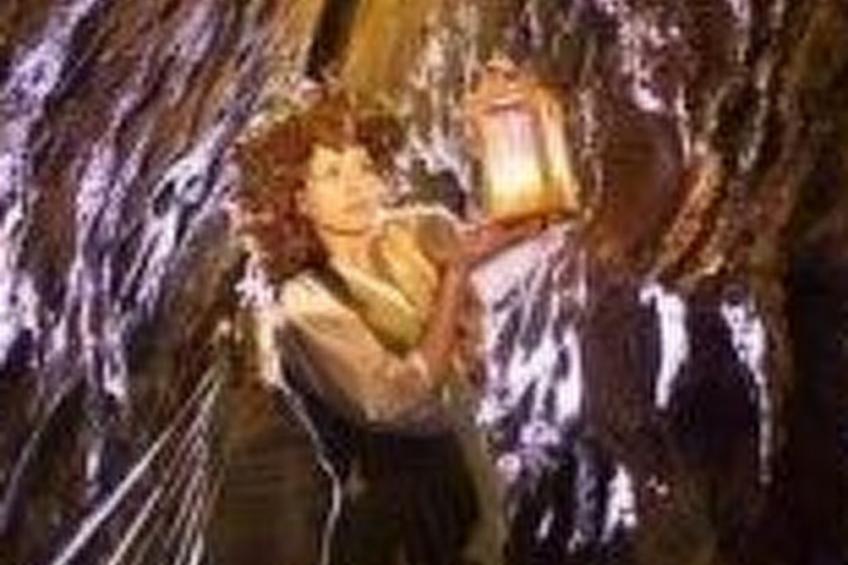 Falkenberg Wh 218 - foto 14