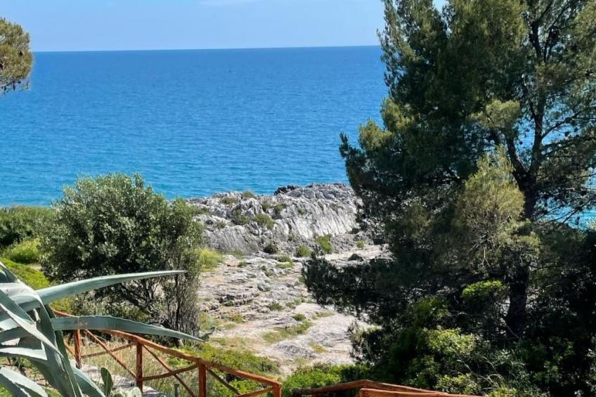 Studio 250 m vom Meer entfernt im historischen Zentrum - foto 6