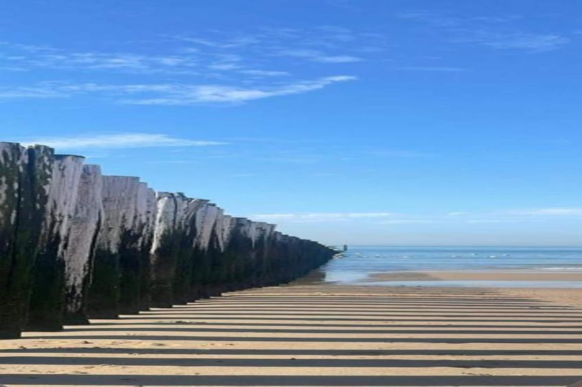 Noordzee Résidence Dishoek - foto 29
