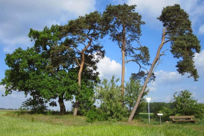 für 2 Personen  + 2 Kinder ca. 65 m² in Mar - foto 15