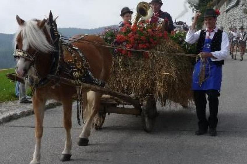 Haus Adler - foto 28