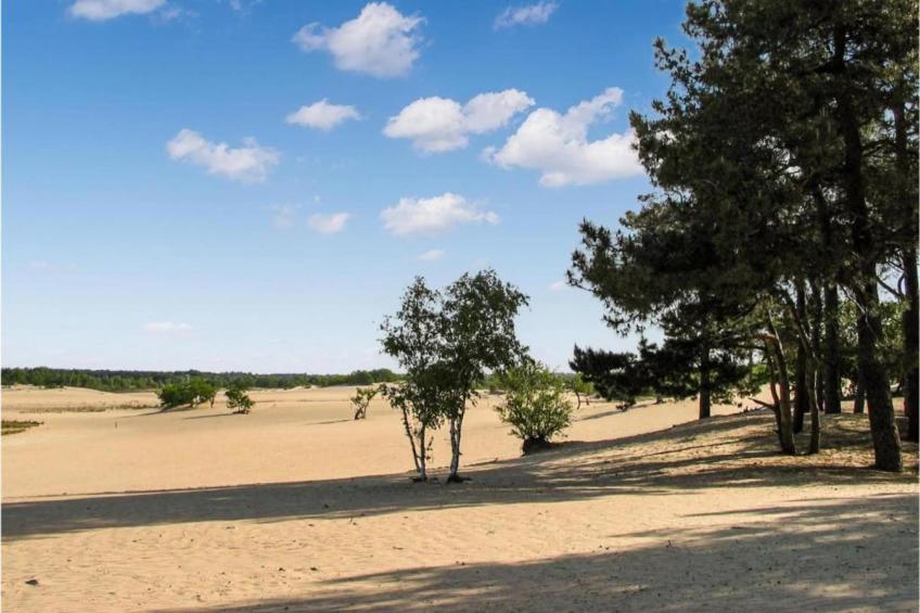 Recreatiepark Duinhoeve 7 - foto 34