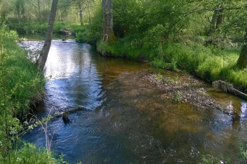 Domaine Des Messires 2 - foto 27