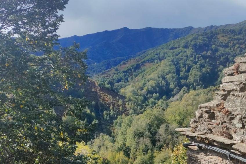 Wohnung "Authentisches korsisches Haus" - foto 4