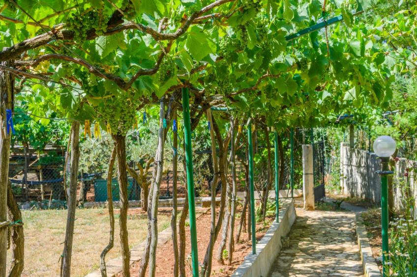 Wunderschönes Ferienhaus in Pomer mit Garten - foto 60