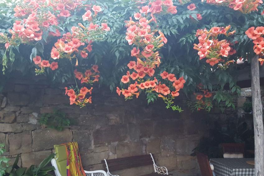 Istrisches Steinhaus - foto 10