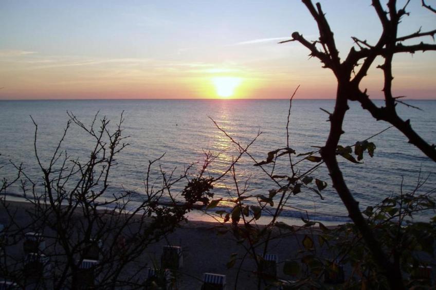 Ferienwohnung Albatross - strandnaher Urlaub Ostseebad Rerik - foto 21