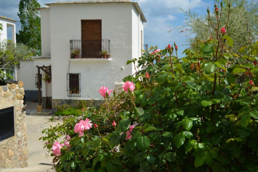 Schönes Haus in Anlage mit Schwimmbad - foto 23