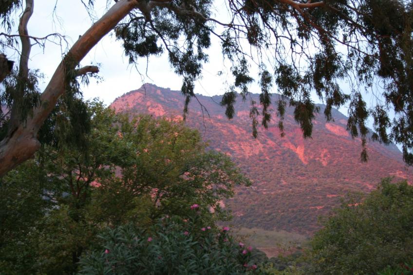 Spiti Louloudia - foto 33