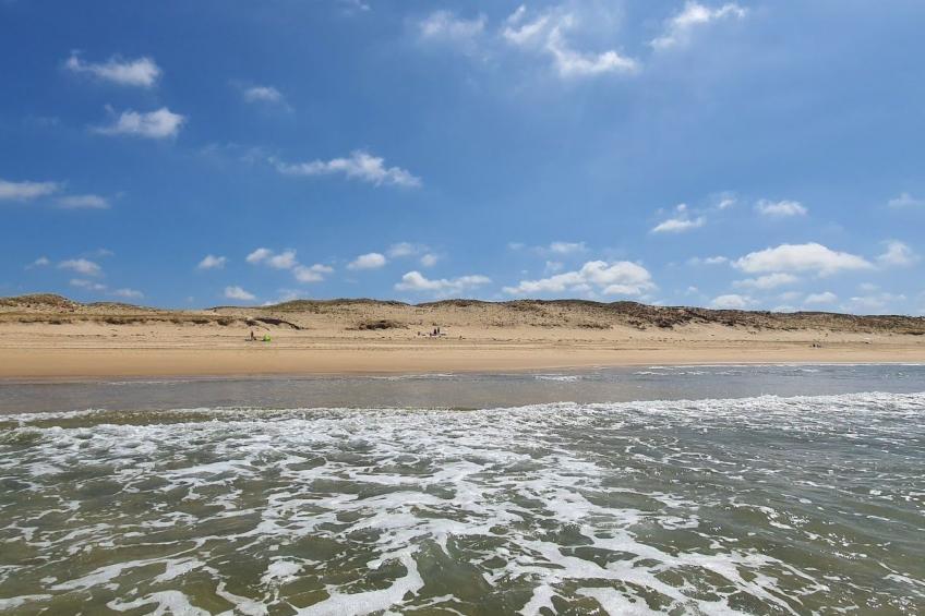 Villa contis-Plage 900m vom Ozean entfernt - foto 39