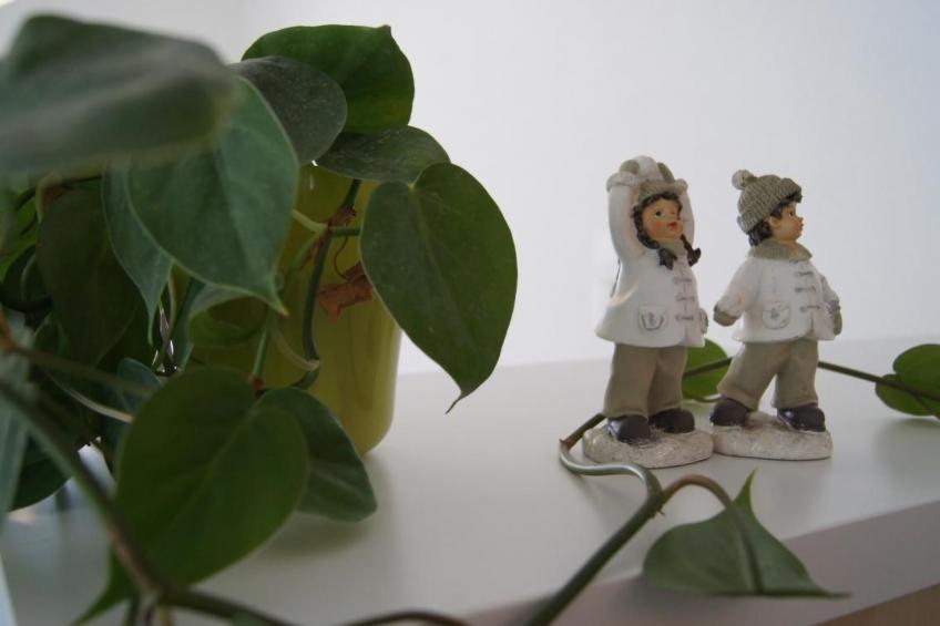 "Ferme d'Alma" - foto 24