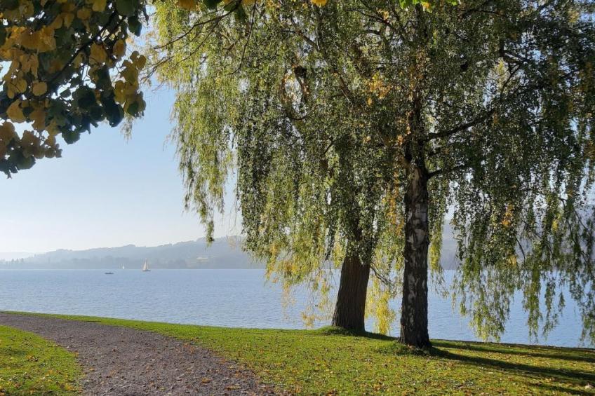 Wohlfühloase - foto 18