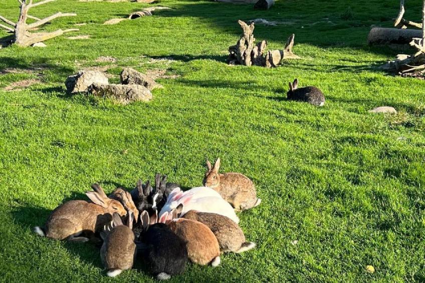 Schafmatthof 1 Obergeschoss - foto 27