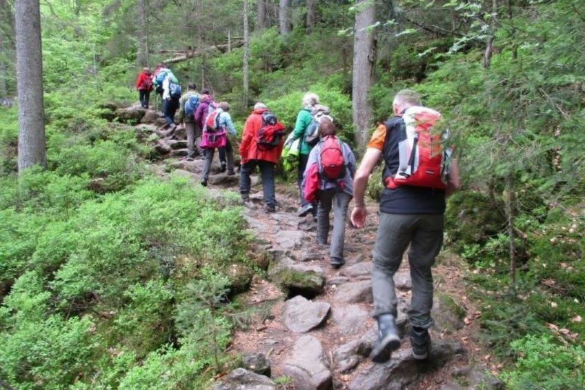 in Haschaberg mit Sonniger Terrasse - foto 33