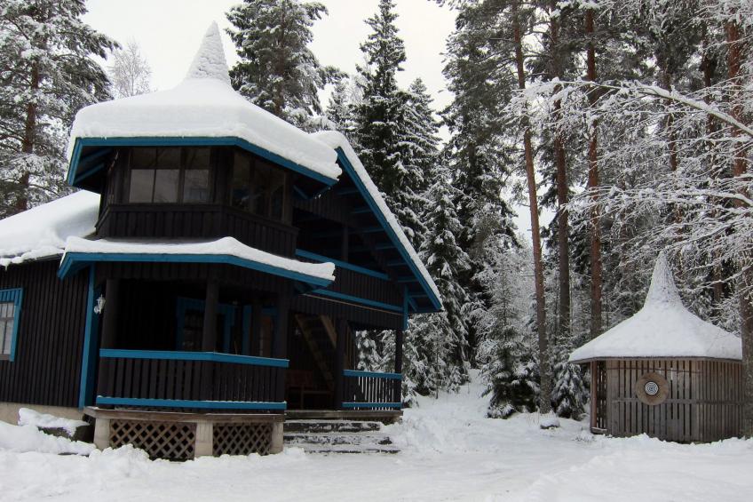 Tohmajärvi, kiviniemi - foto 27